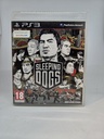 Sleeping Dogs